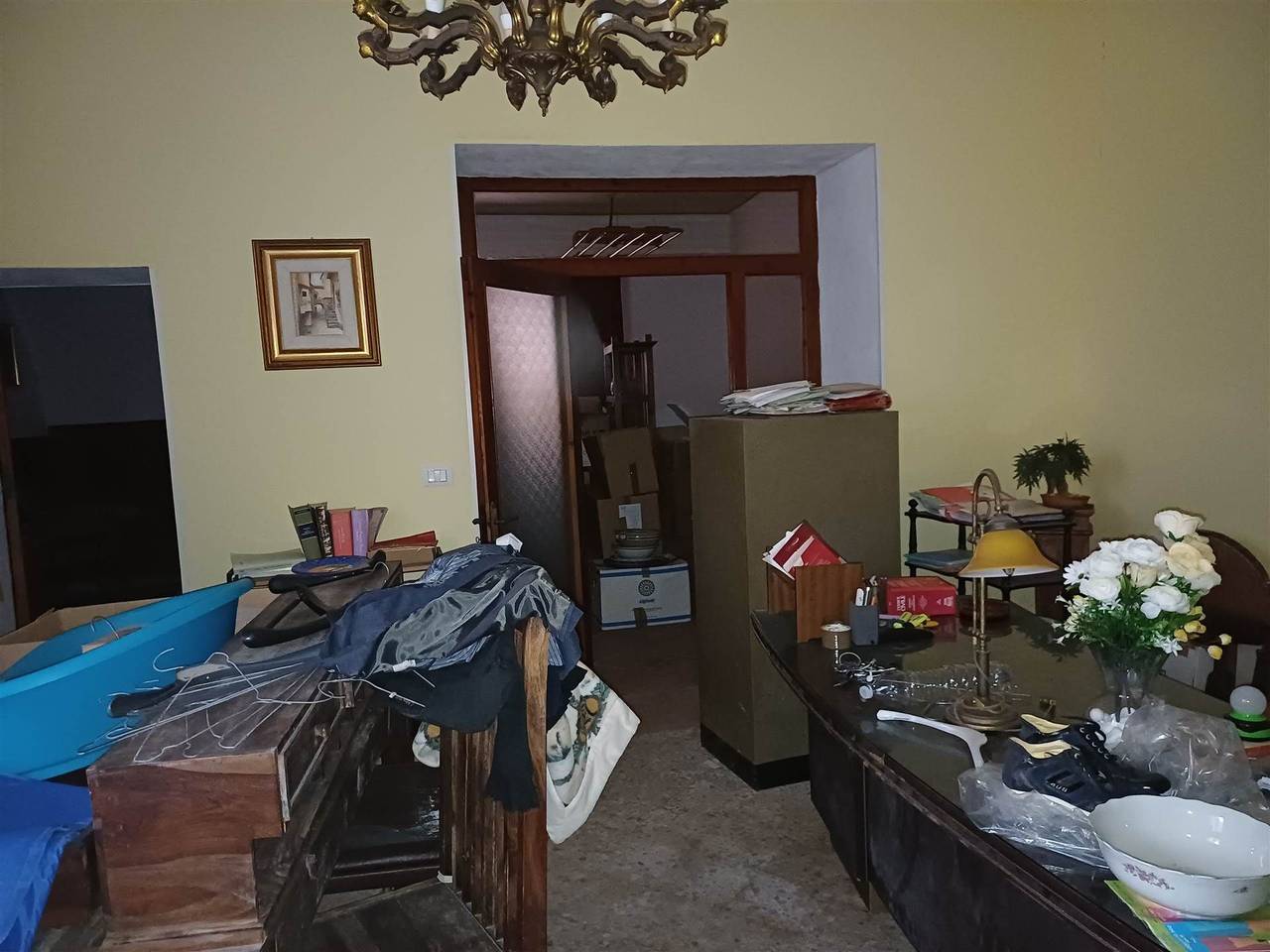 immagine annuncio 5 di 7