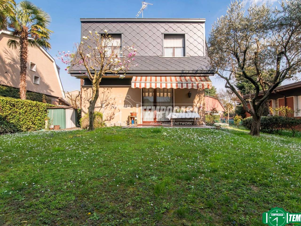 immagine annuncio 1 di 15