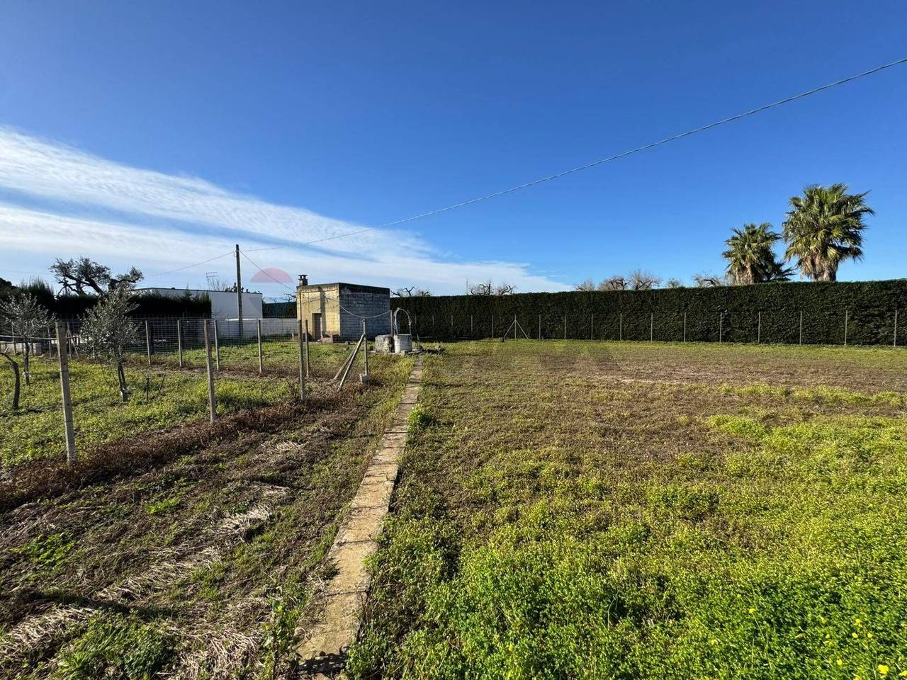 immagine annuncio 6 di 9