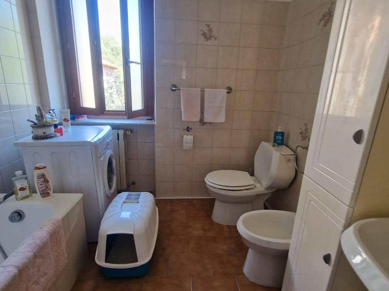 immagine annuncio 9 di 14