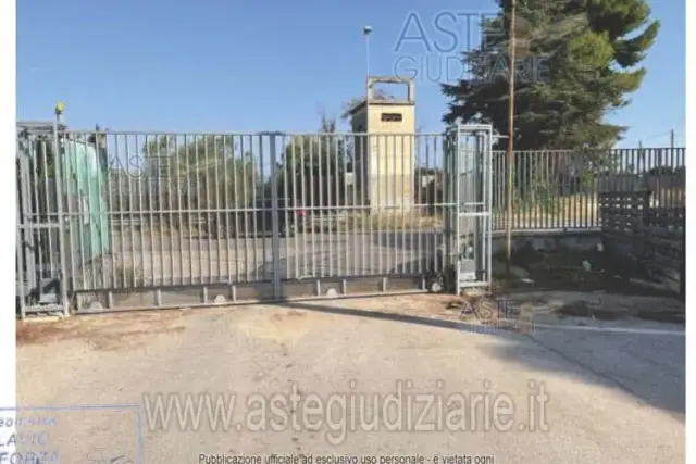 insertion image