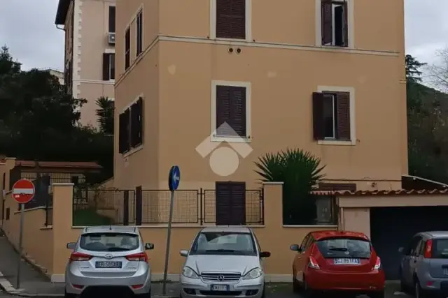 insertion image