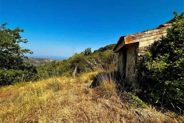 Terreno agricolo in Vatolla Via dei Giardini S.N.C., Perdifumo - Foto 1