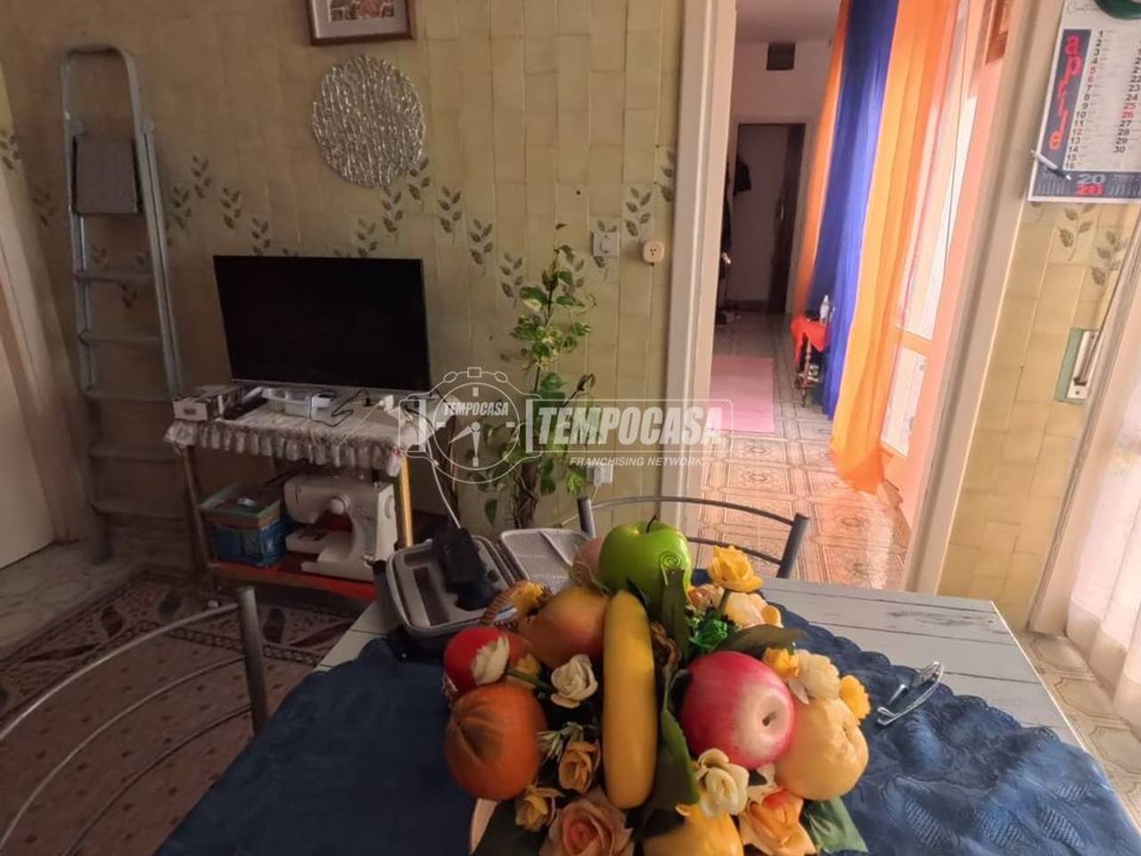immagine annuncio 4 di 13