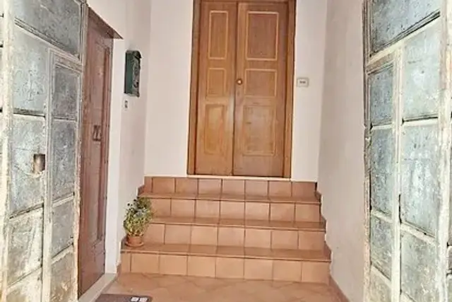 insertion image