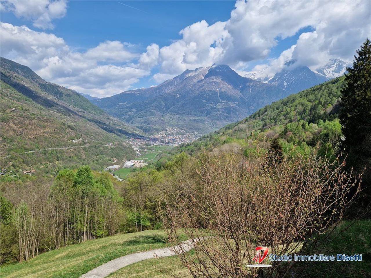 immagine annuncio 12 di 14