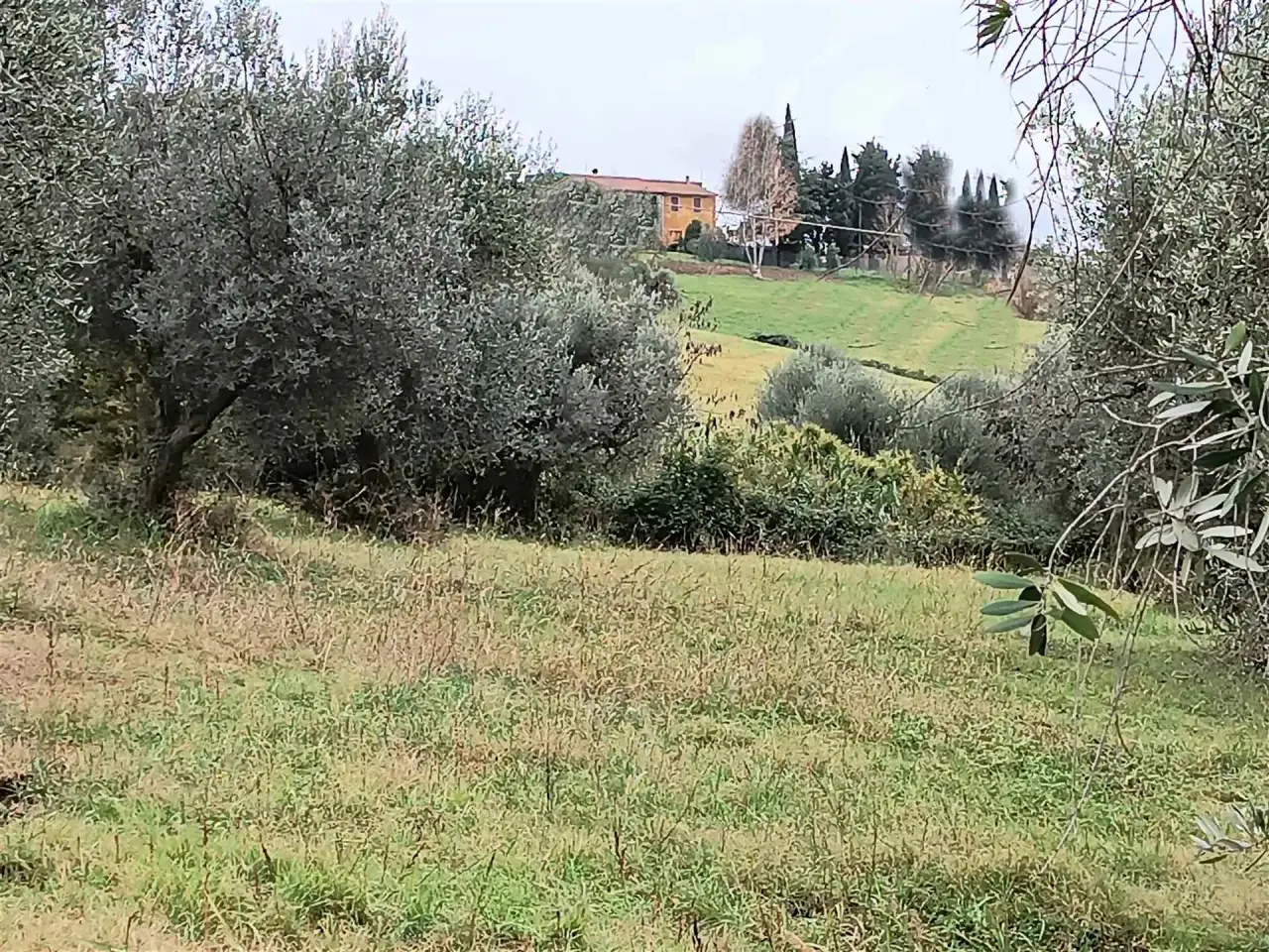 Azienda agricola in Oltre Localita' Granaione, Cinigiano, Grosseto, Cinigiano, {3} - Foto 1