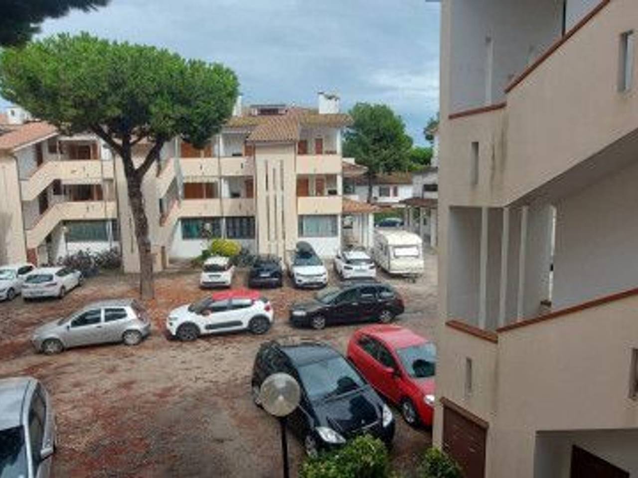 immagine annuncio 13 di 14