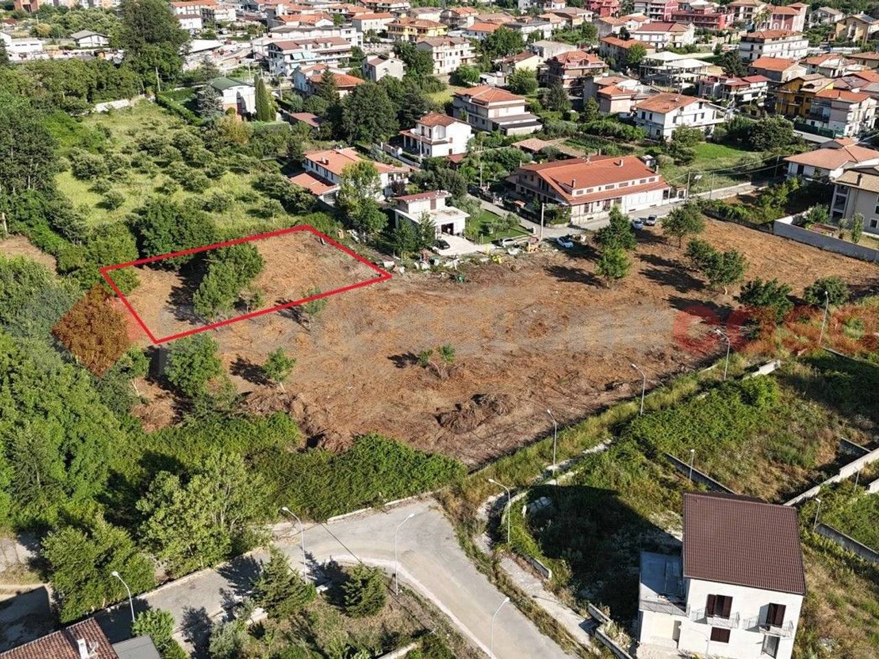 immagine annuncio 2 di 7