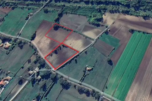 insertion image