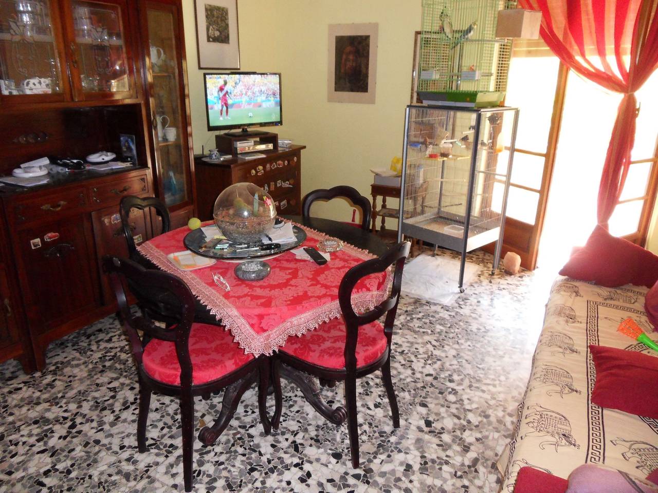 immagine annuncio 1 di 11