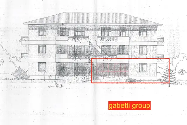 insertion image