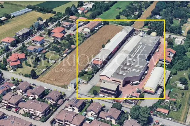 insertion image