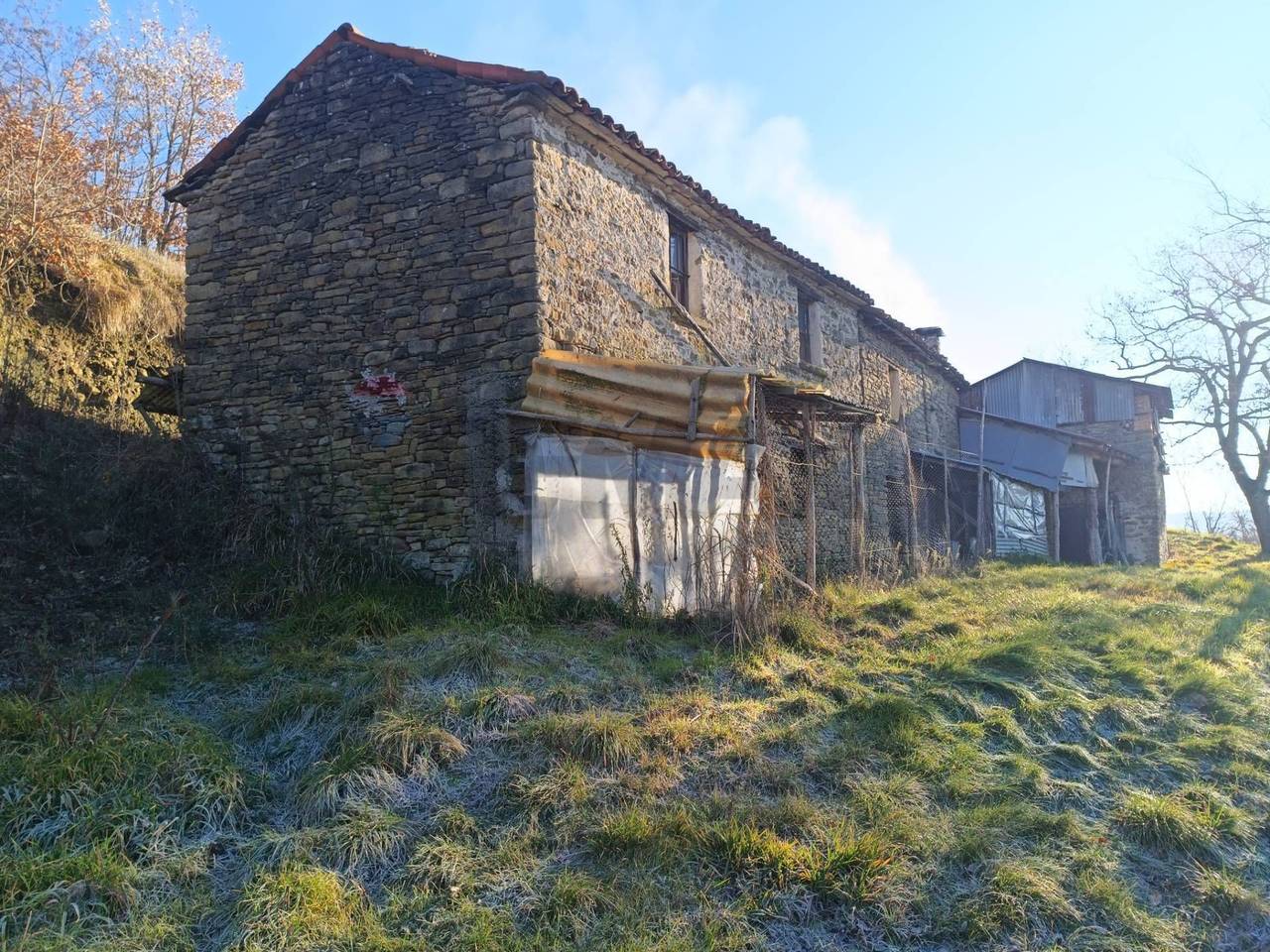 immagine annuncio 13 di 15