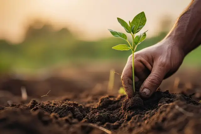 Terreno agricolo in Strada della Speranza, Latina - Foto 1