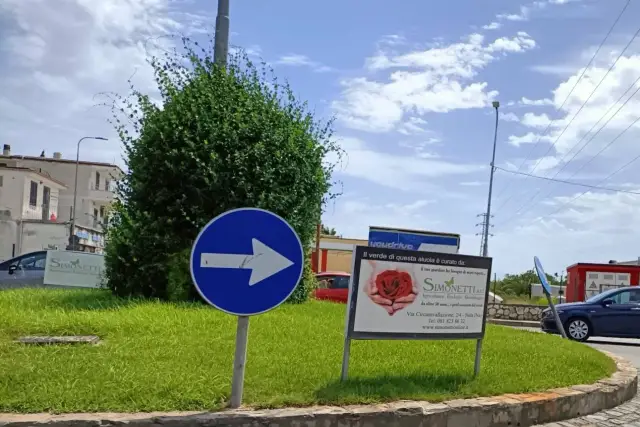 insertion image