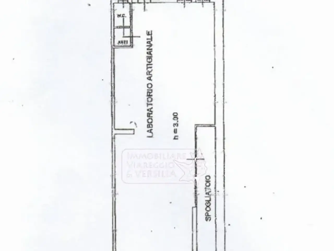 Magazzino in Via Virgilio 100, Viareggio, {3} - Planimetria 1