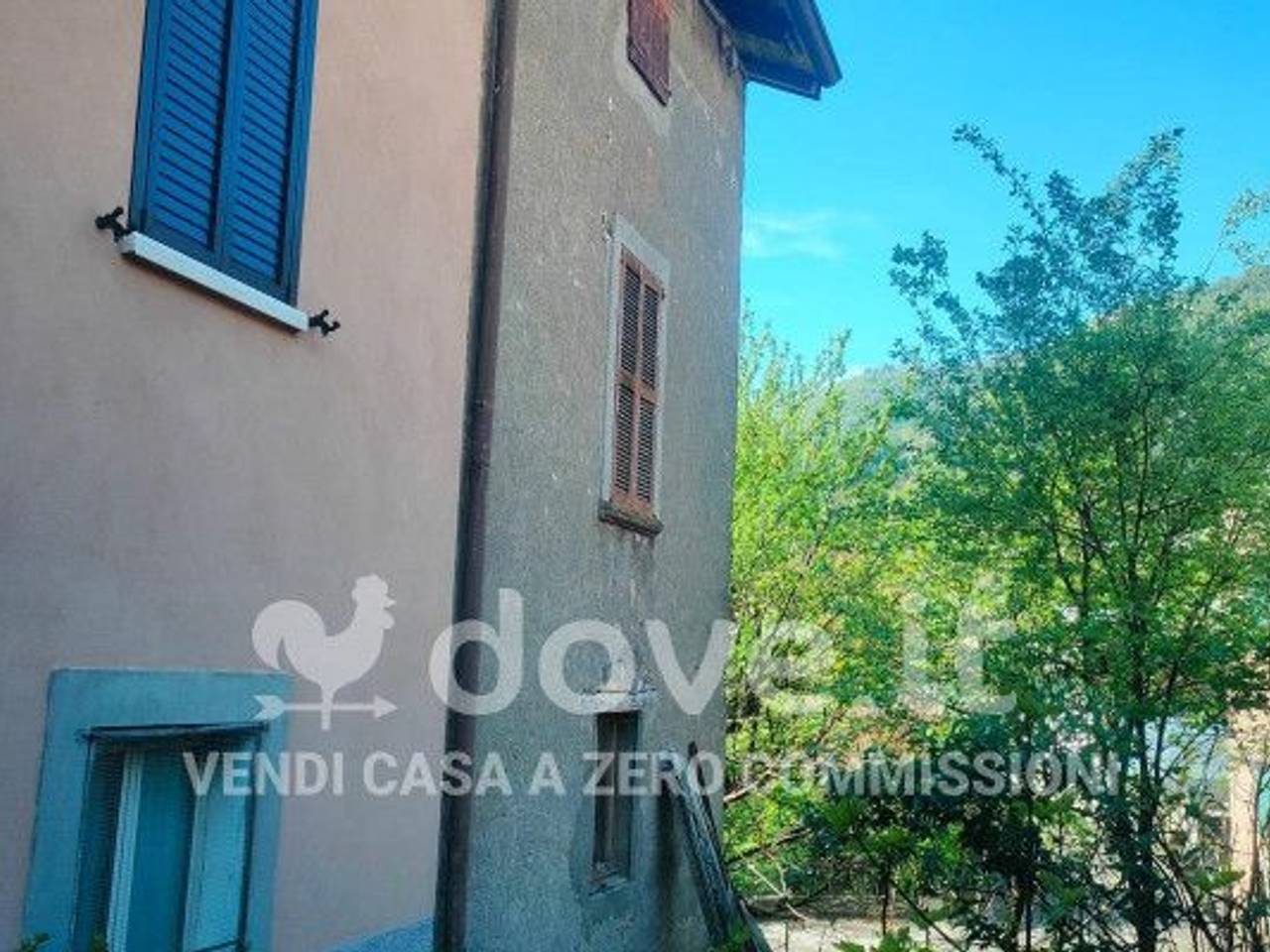 immagine annuncio 5 di 14