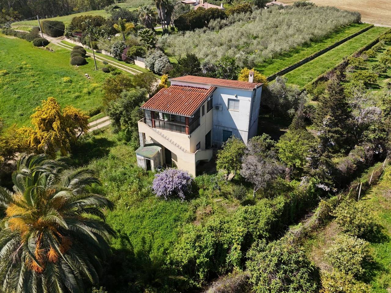 immagine annuncio 10 di 15