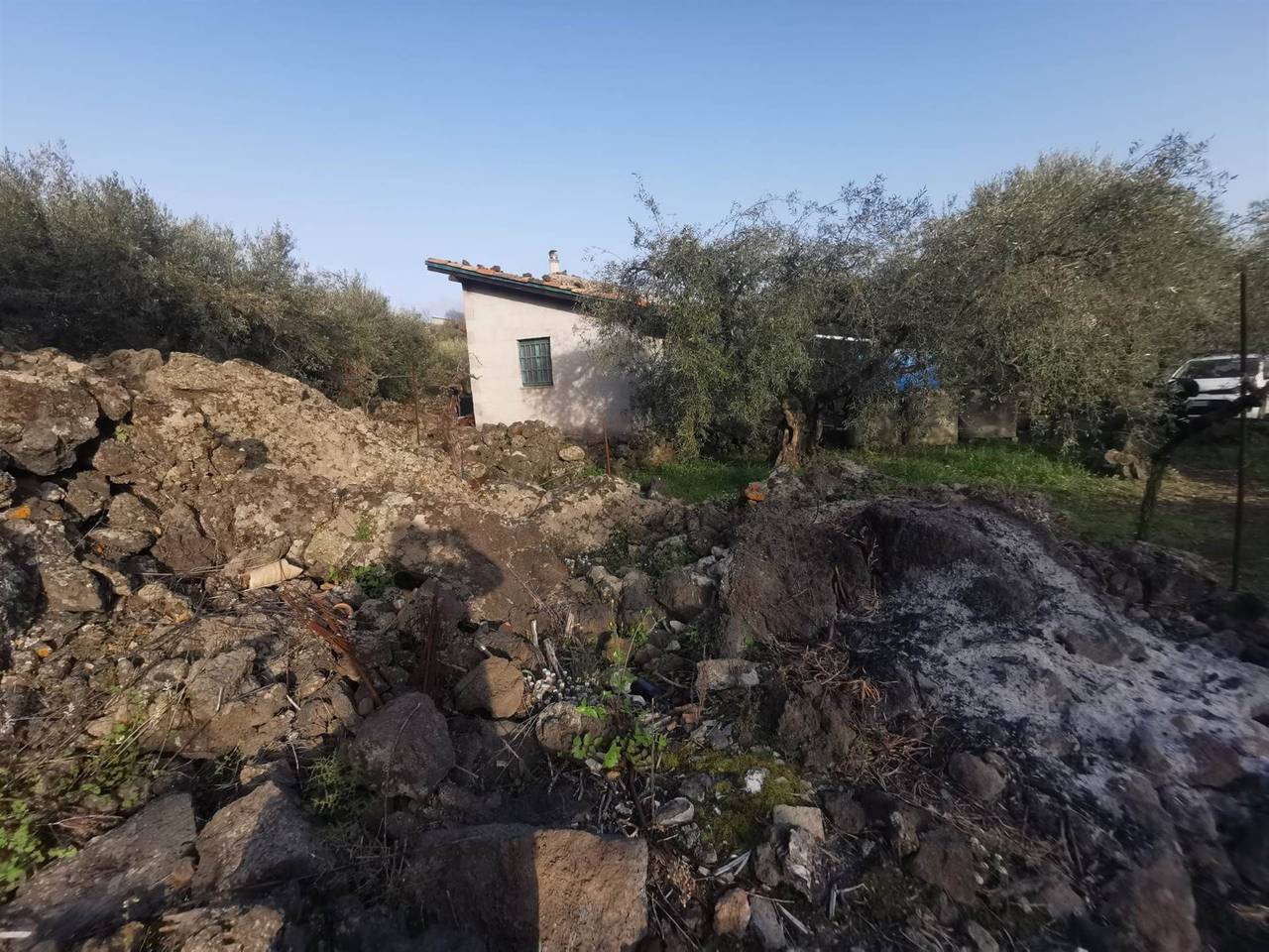 immagine annuncio 9 di 14