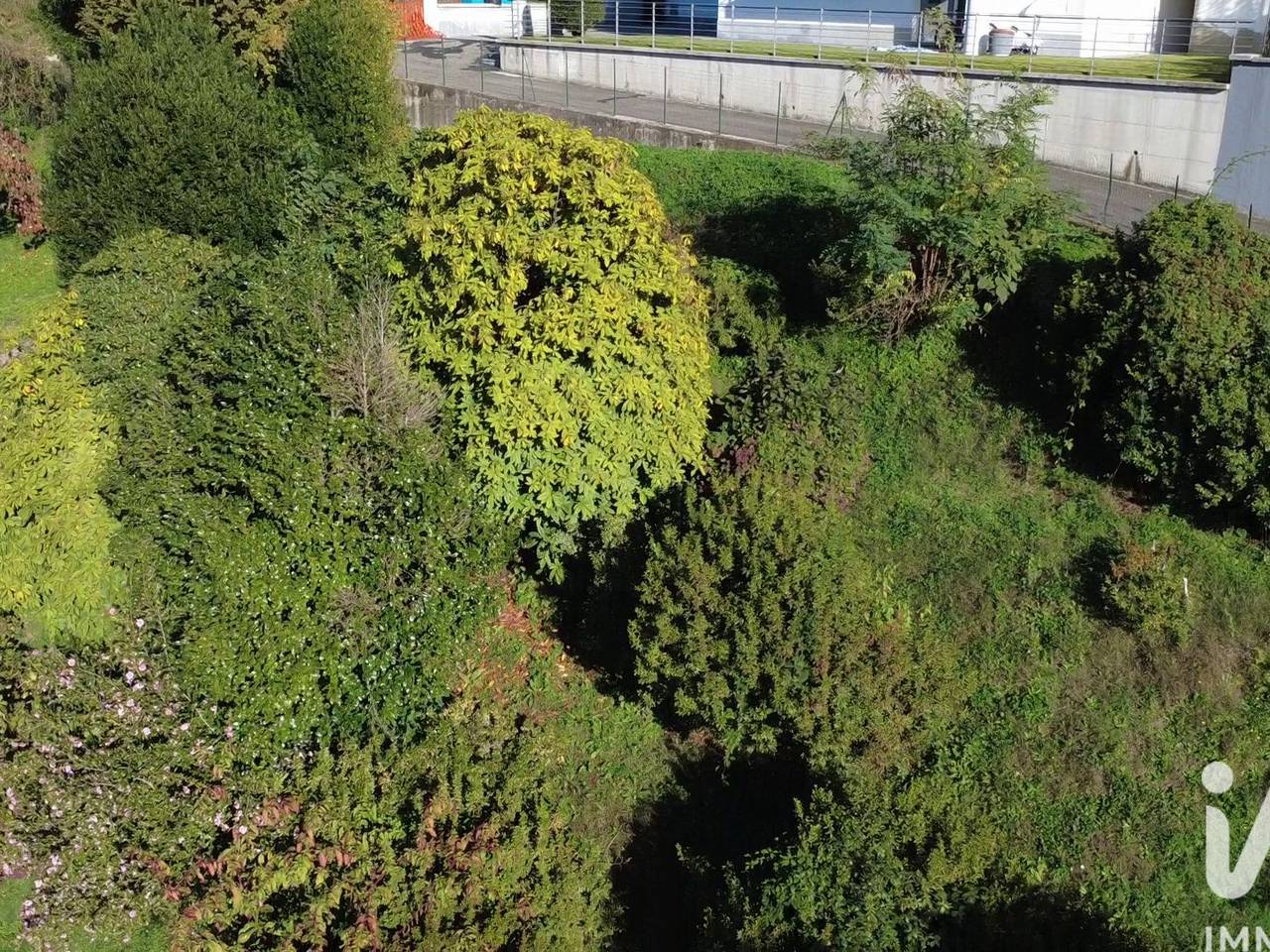 immagine annuncio 2 di 7