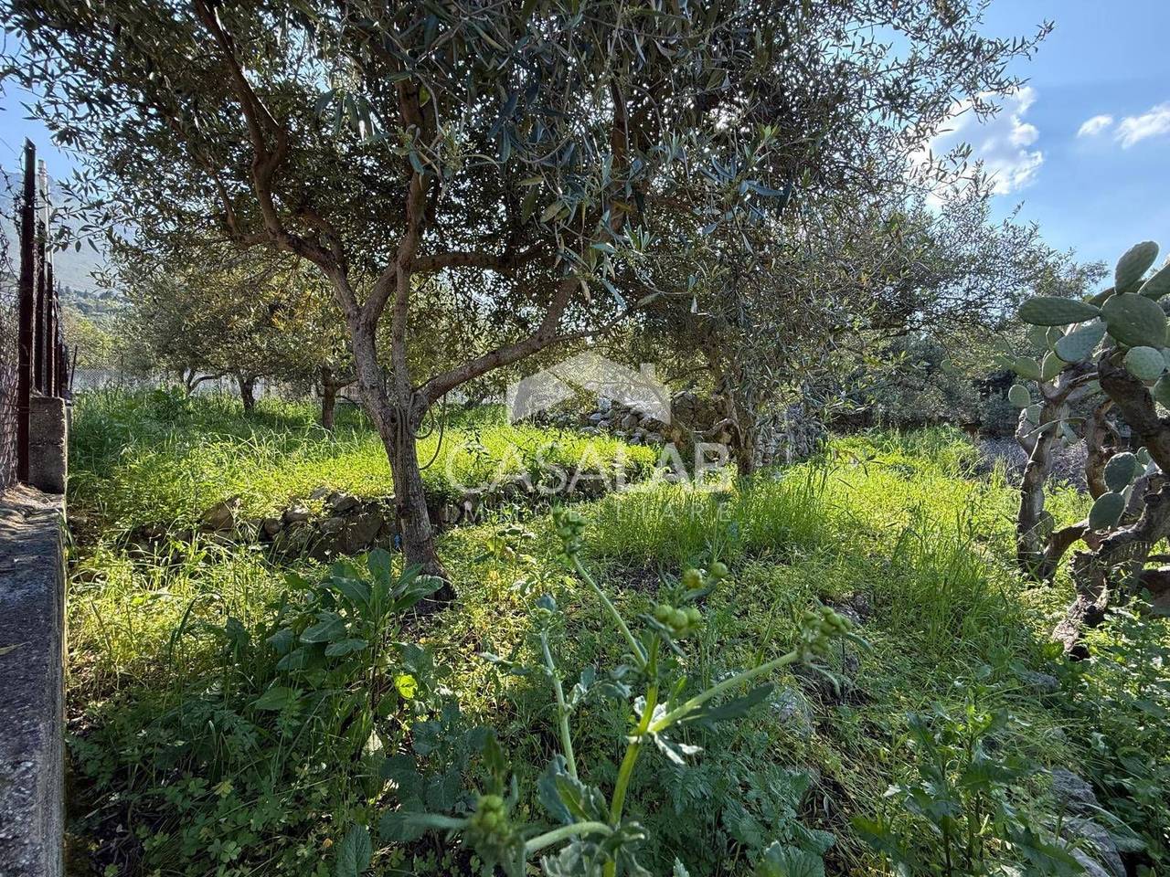 immagine annuncio 1 di 9