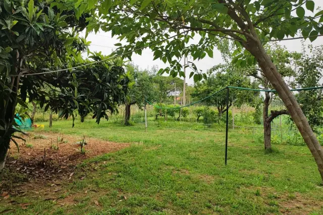 Agricultural land, Livorno - Photo 1