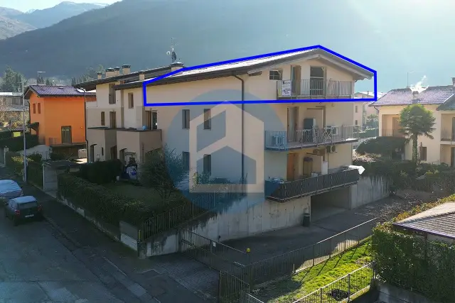 insertion image