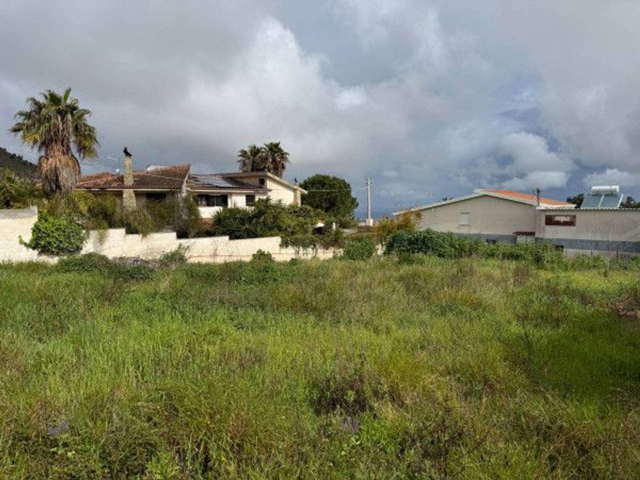 immagine annuncio 1 di 14