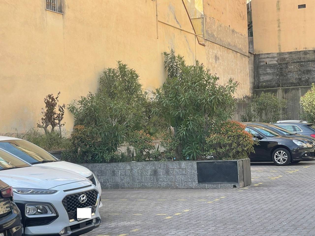 immagine annuncio 13 di 14