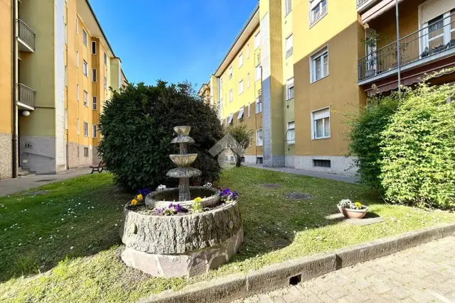 insertion image