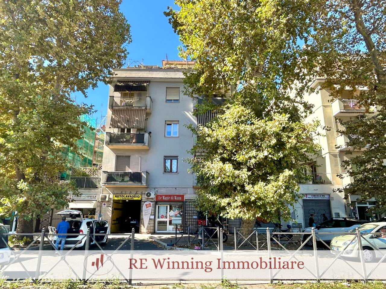 immagine annuncio 1 di 15