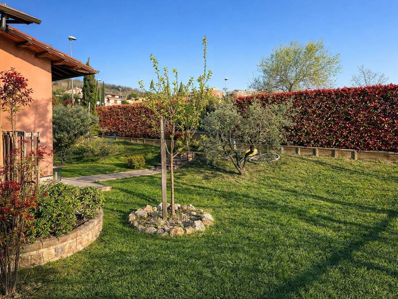 immagine annuncio 5 di 15