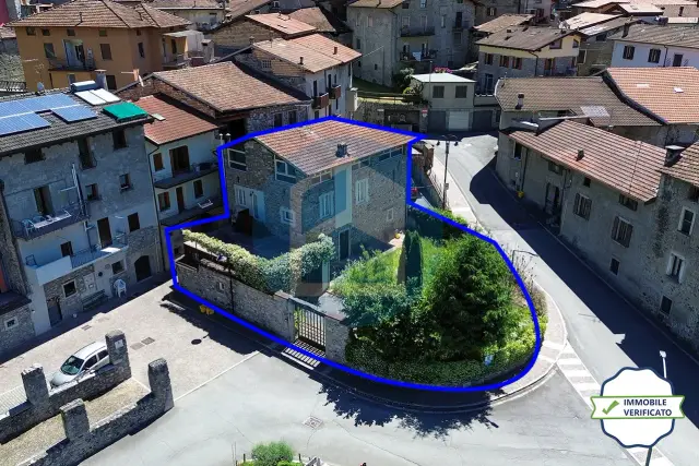 insertion image