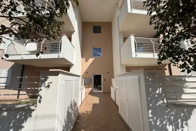 insertion image