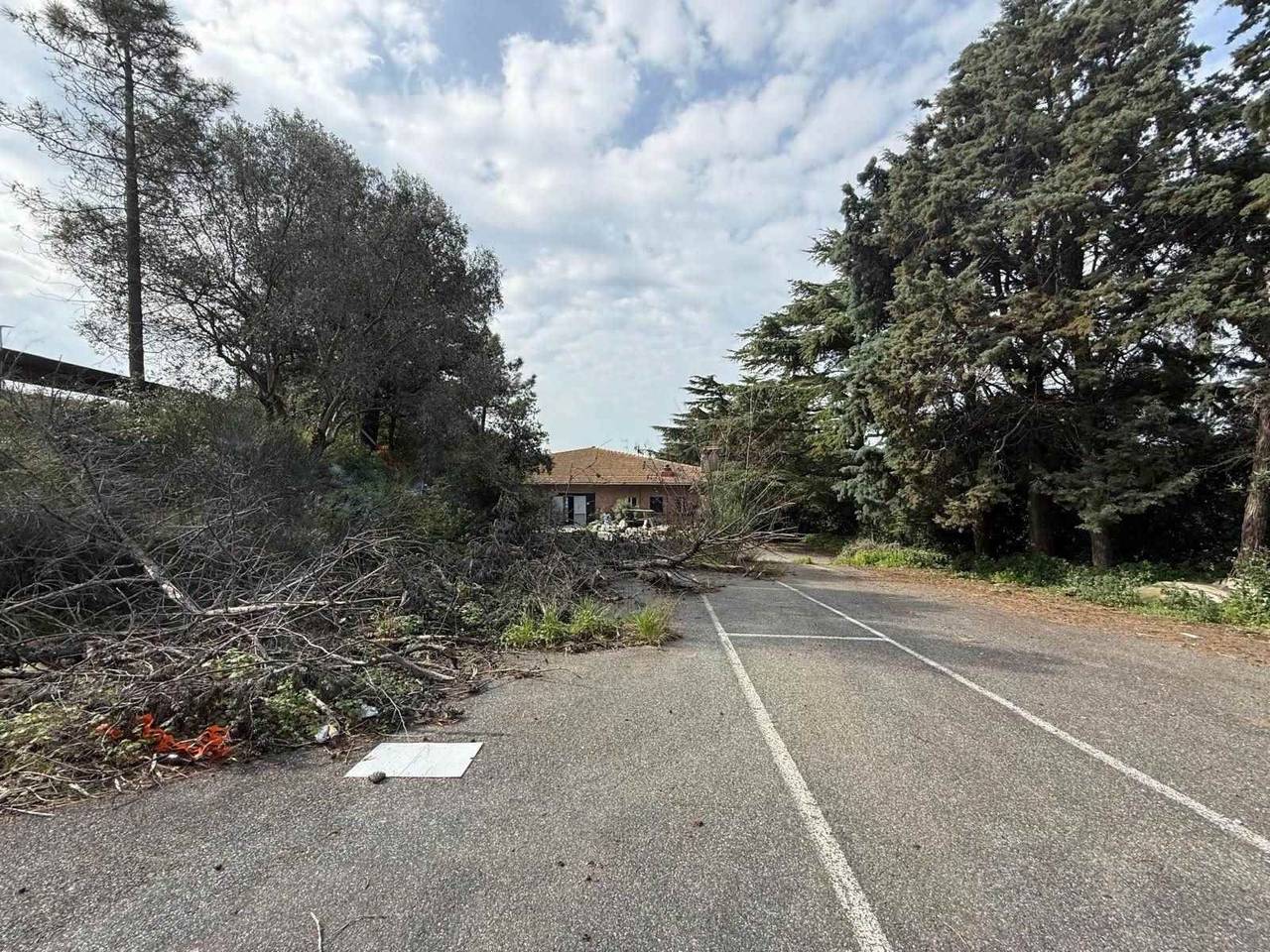 immagine annuncio 6 di 7