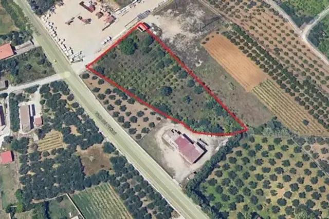 insertion image