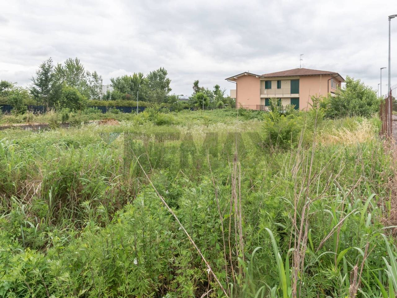 immagine annuncio 11 di 13