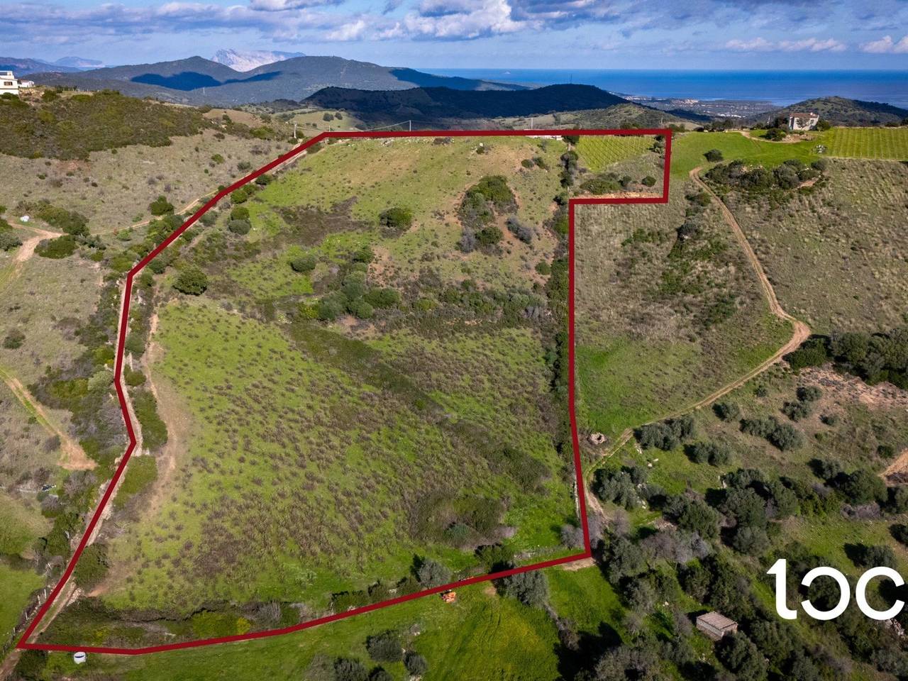 immagine annuncio 8 di 11