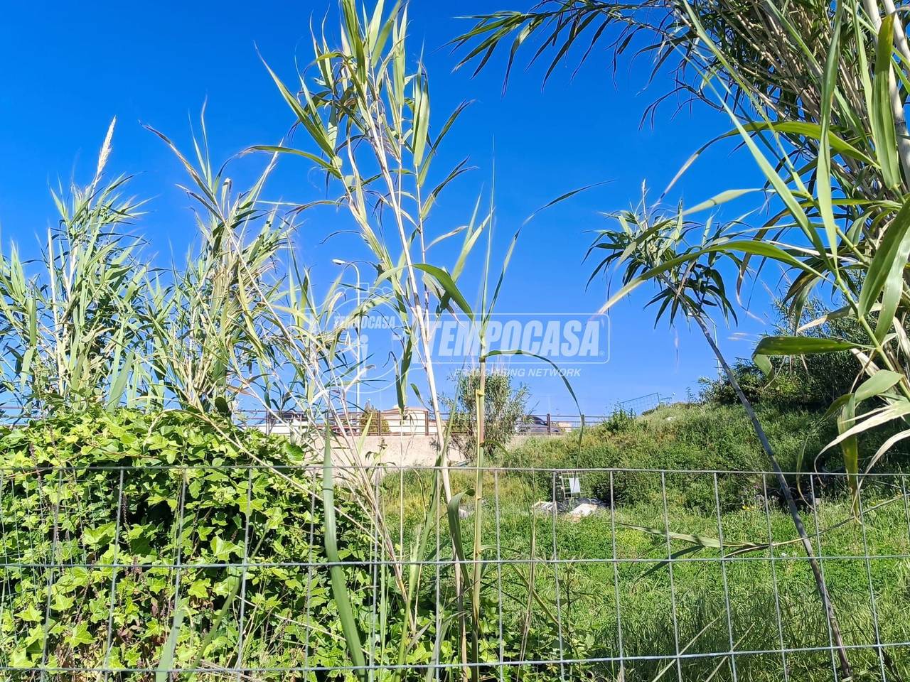 immagine annuncio 9 di 13