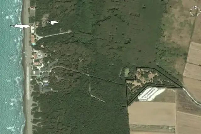 insertion image