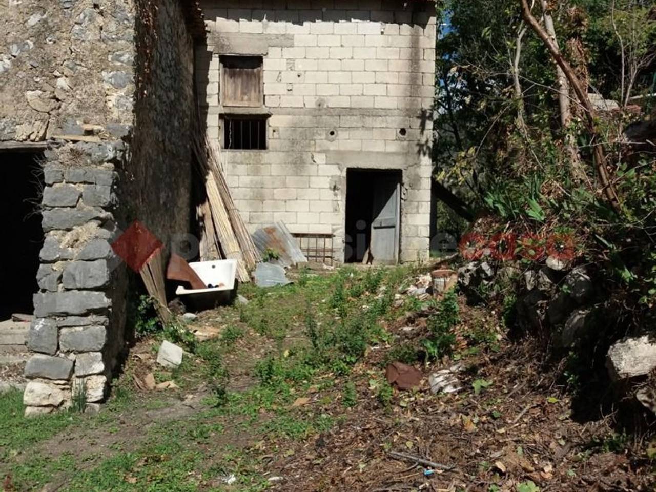 immagine annuncio 2 di 9