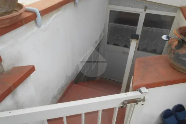 insertion image
