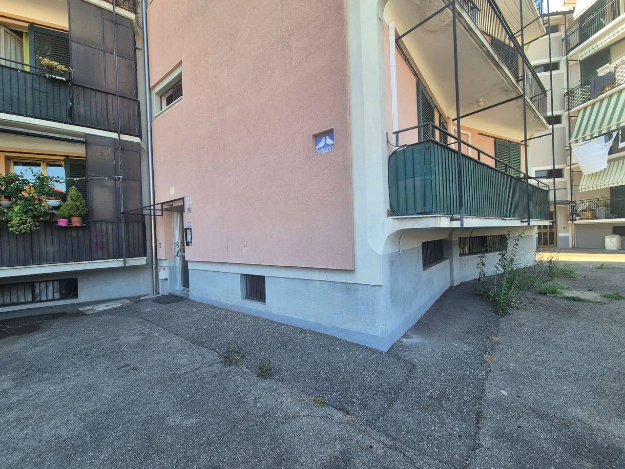 immagine annuncio 1 di 15
