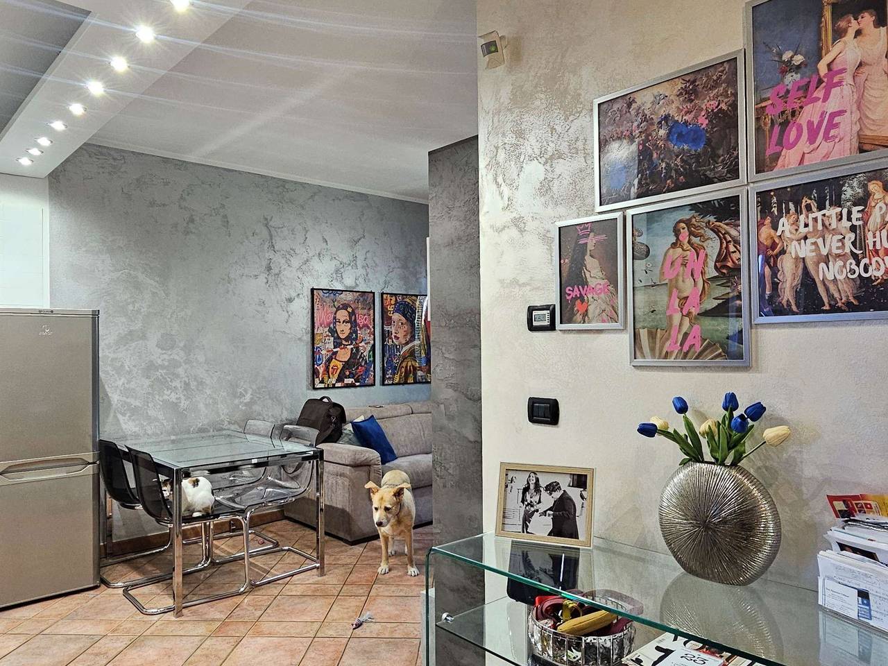 immagine annuncio 4 di 15