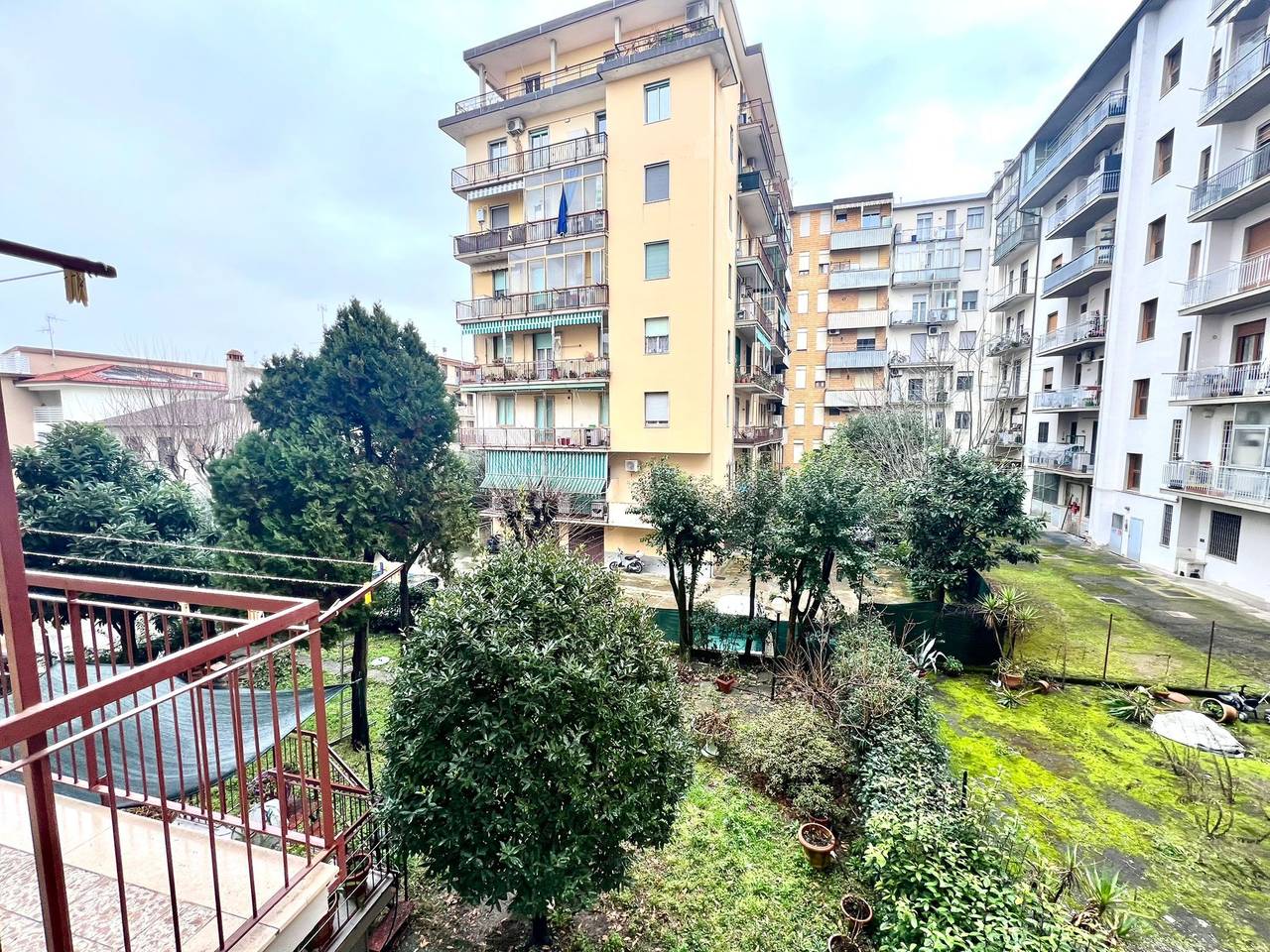 immagine annuncio 4 di 15