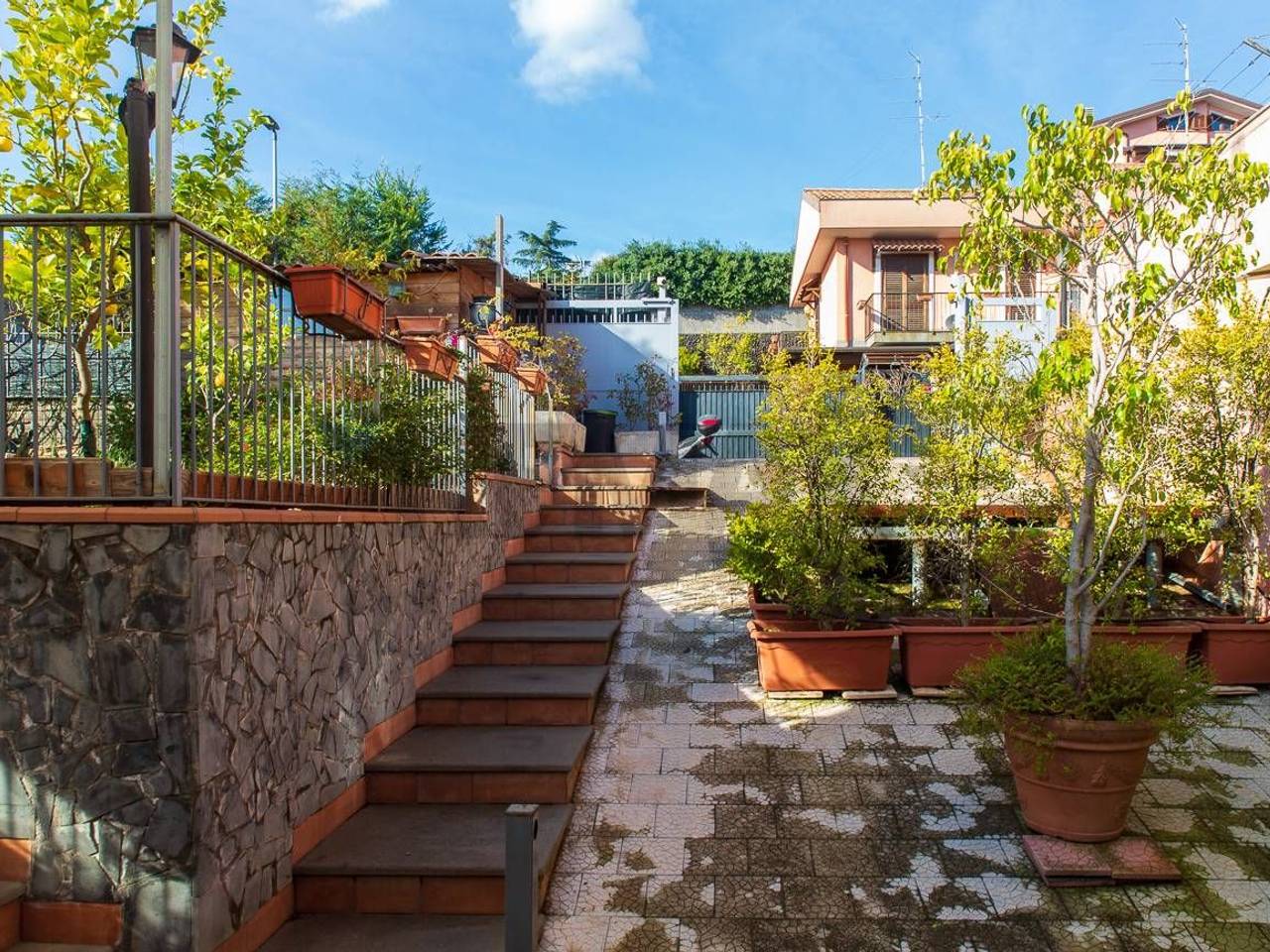 immagine annuncio 12 di 15