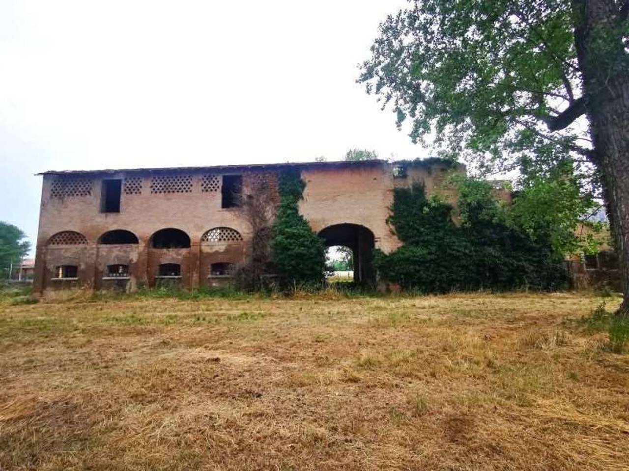 immagine annuncio 6 di 13