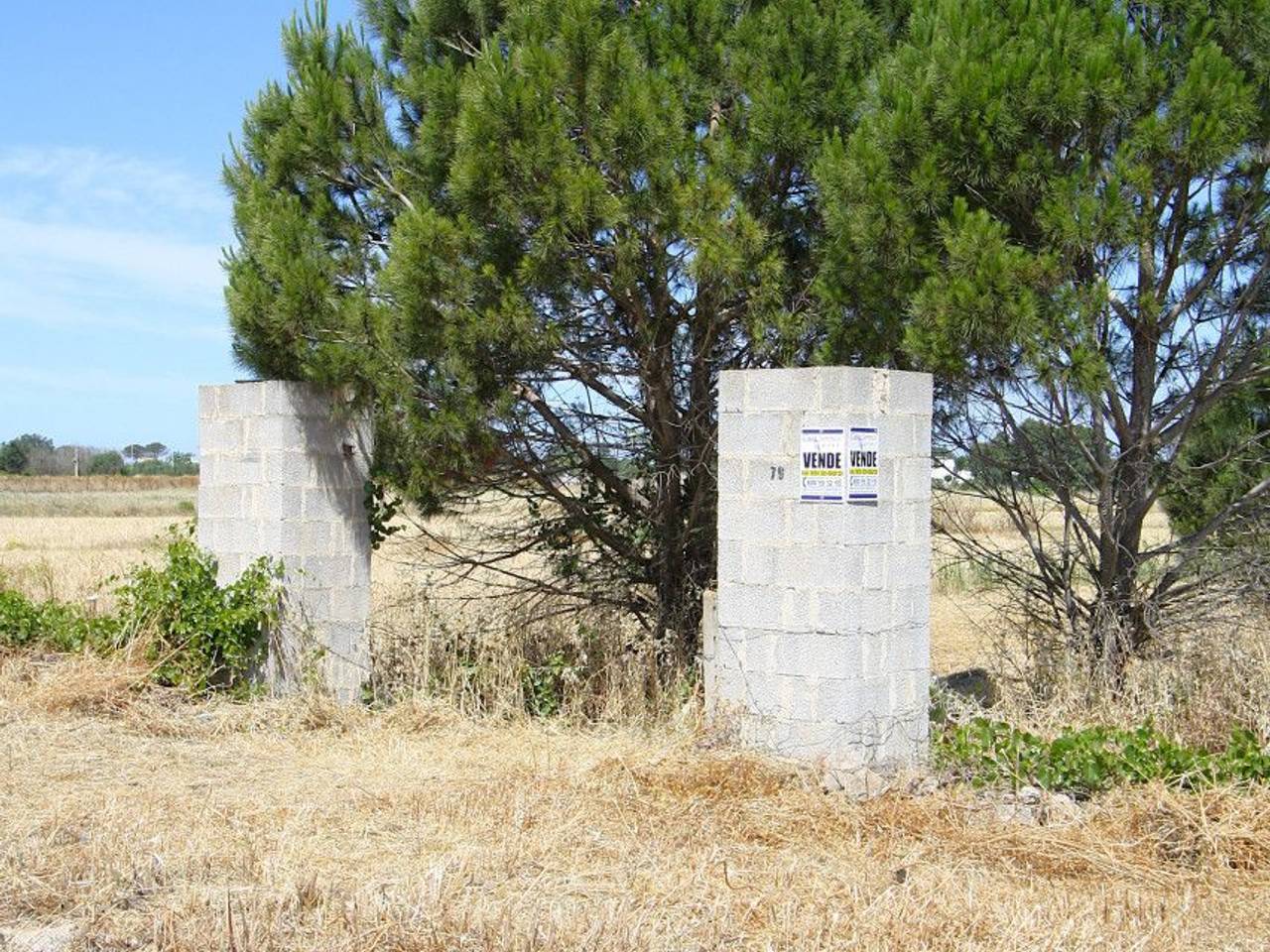 immagine annuncio 13 di 15