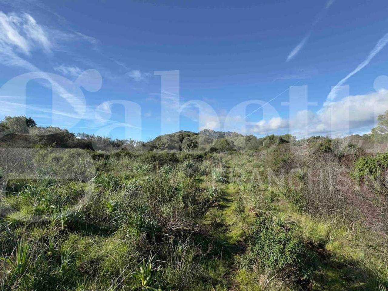 immagine annuncio 10 di 13